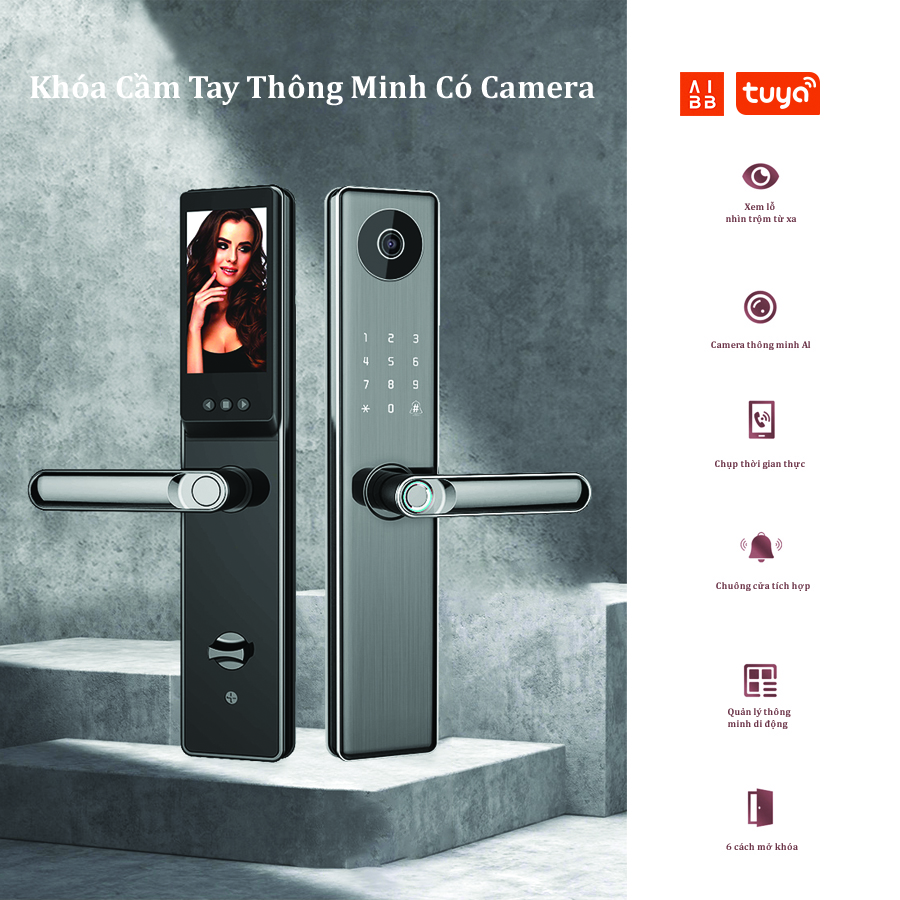 Smart lock with handle opened by camera LWE5