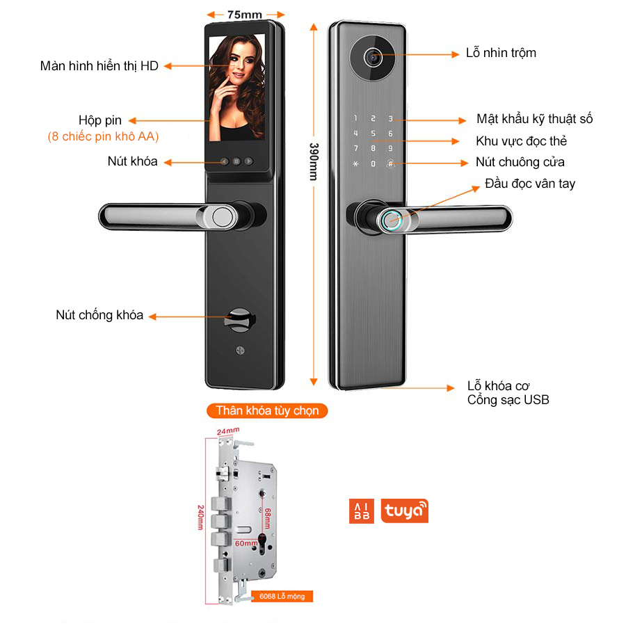 Smart lock with handle opened by camera LWE5