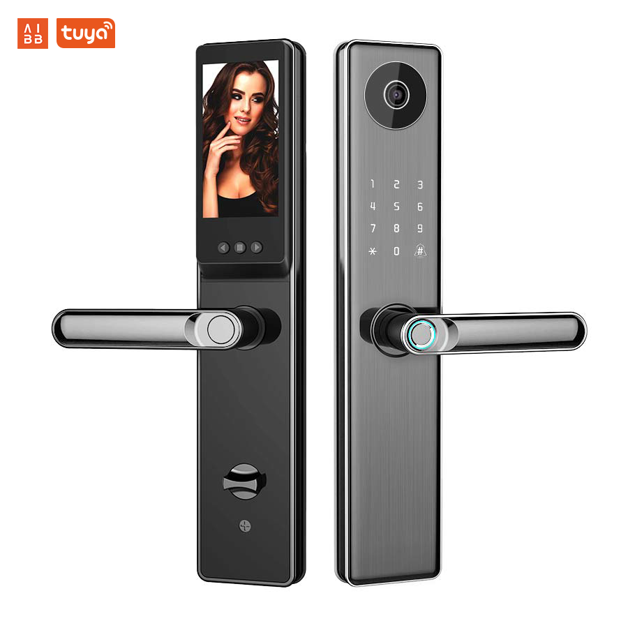 Smart lock with handle opened by camera LWE5