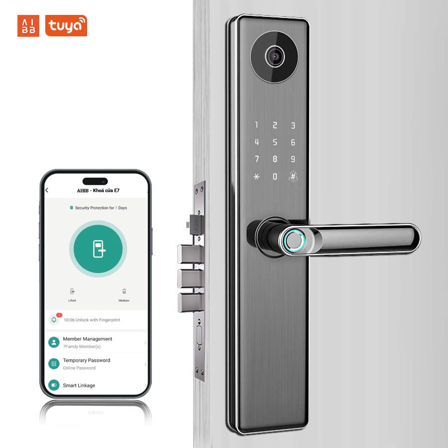 Smart lock with handle opened by camera LWE5